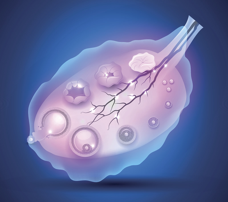 深圳40岁以上女性试管婴儿就医指南：北京大学深圳医院、深圳市妇幼保健院等机构深度解析，附辅助生殖项目费用明细参考